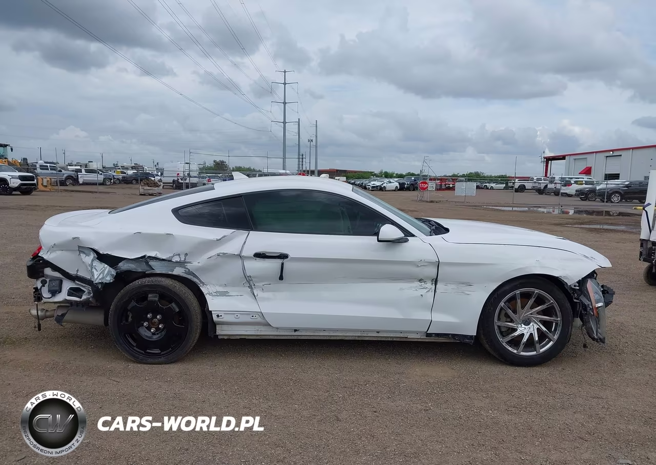 2022 Ford Mustang Ecoboost Premium Fastback VIN:1FA6P8TH8N5102233 - 13
