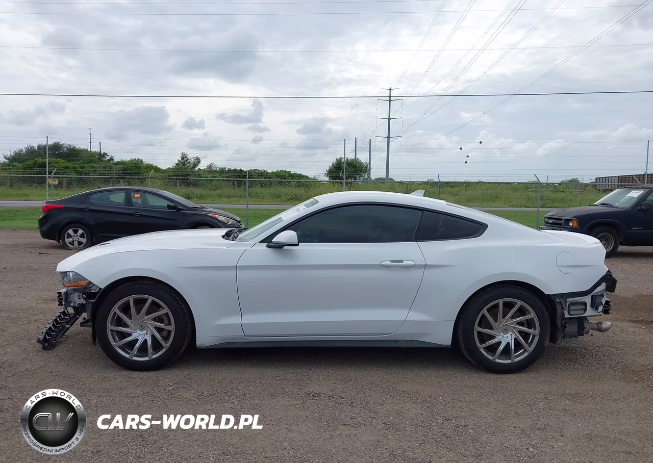 2022 Ford Mustang Ecoboost Premium Fastback VIN:1FA6P8TH8N5102233 - 14
