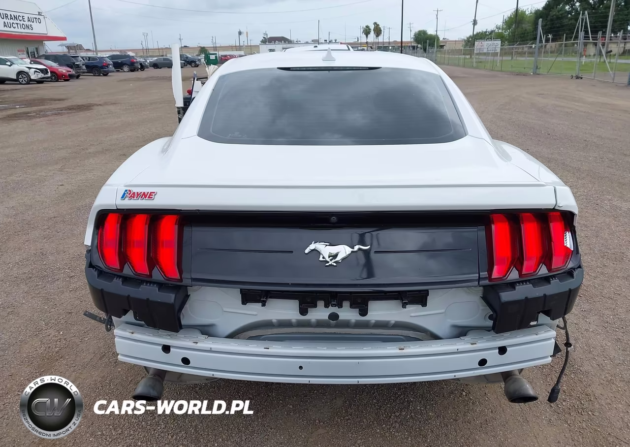2022 Ford Mustang Ecoboost Premium Fastback VIN:1FA6P8TH8N5102233 - 16