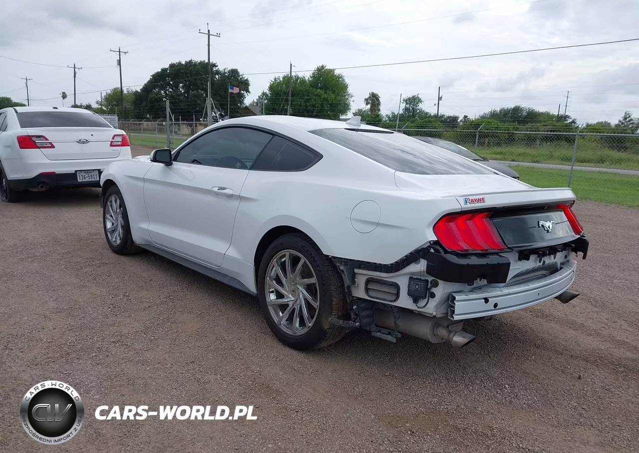 2022 Ford Mustang Ecoboost Premium Fastback VIN:1FA6P8TH8N5102233 - 3