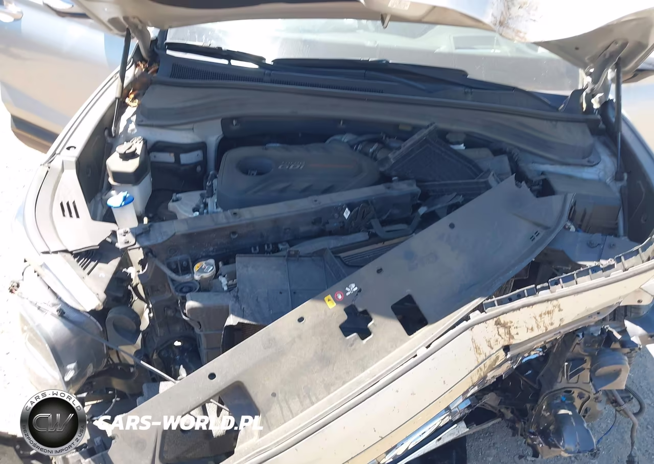 2020 Hyundai Santa Fe Limited 2.0T VIN:5NMS5CAA8LH270195 - 10
