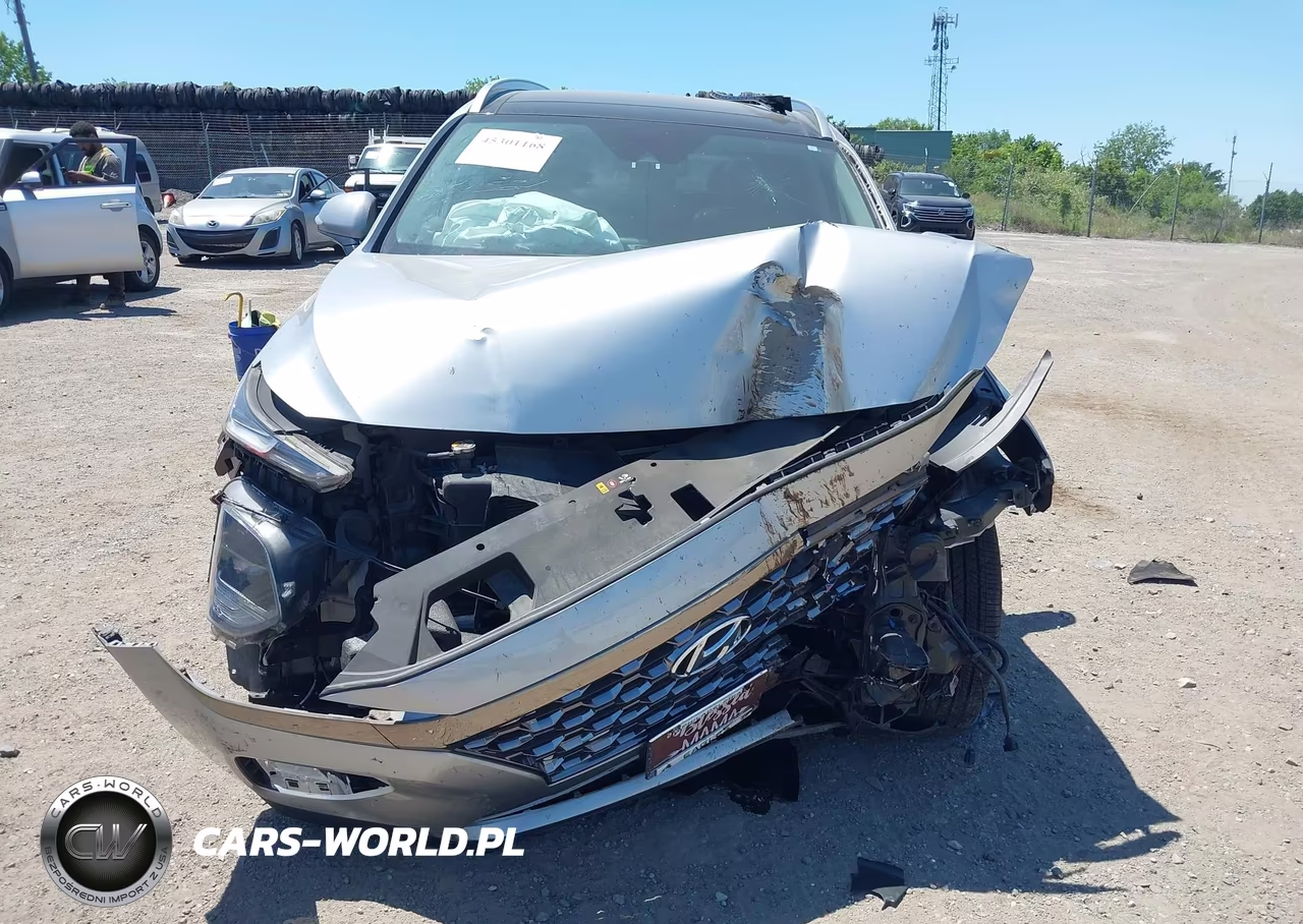 2020 Hyundai Santa Fe Limited 2.0T VIN:5NMS5CAA8LH270195 - 6