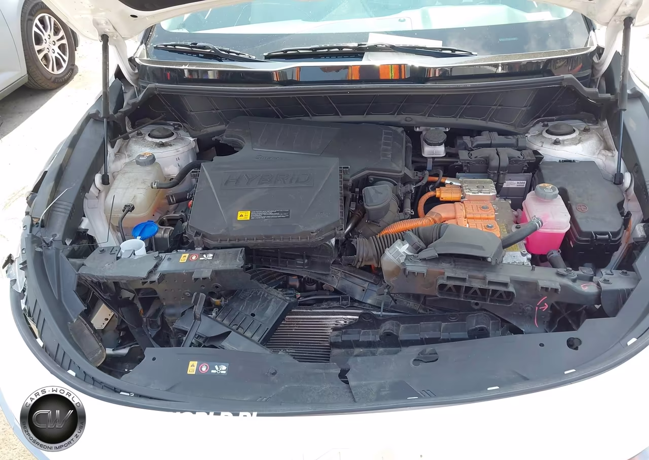 2024 Kia Niro Ex Touring VIN:KNDCR3LE0R5137953 - 10