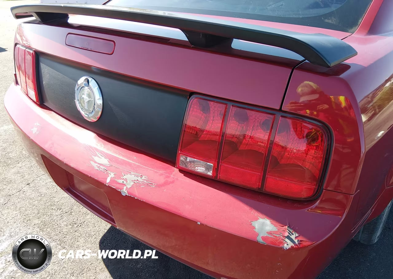 2008 Ford Mustang VIN:1ZVHT80N985196276 - 12
