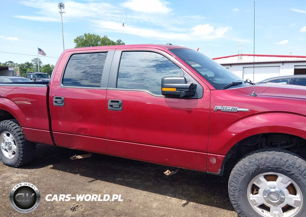 2013 Ford F-150 Xlt VIN:1FTFW1EF8DKE59718 - 13
