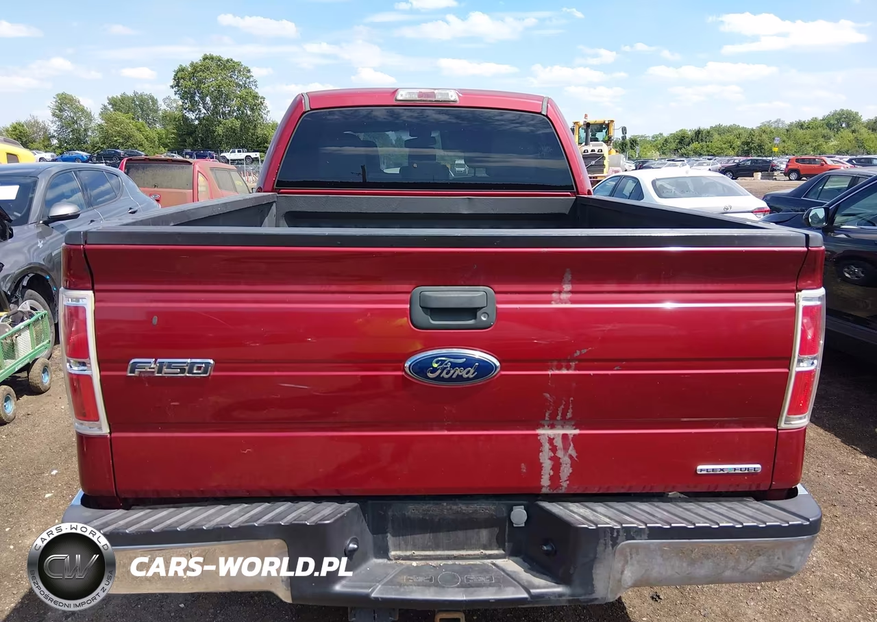 2013 Ford F-150 Xlt VIN:1FTFW1EF8DKE59718 - 16