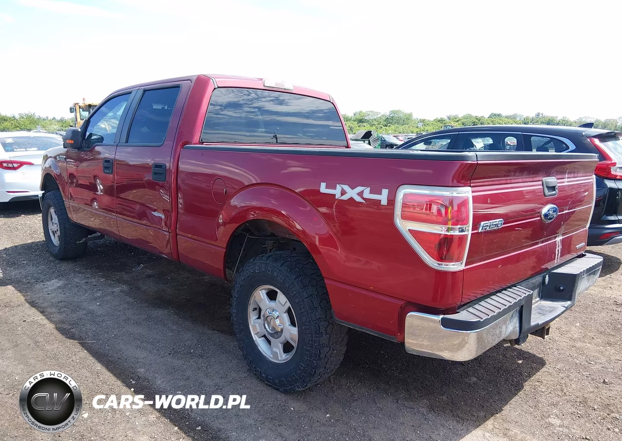 2013 Ford F-150 Xlt VIN:1FTFW1EF8DKE59718 - 3
