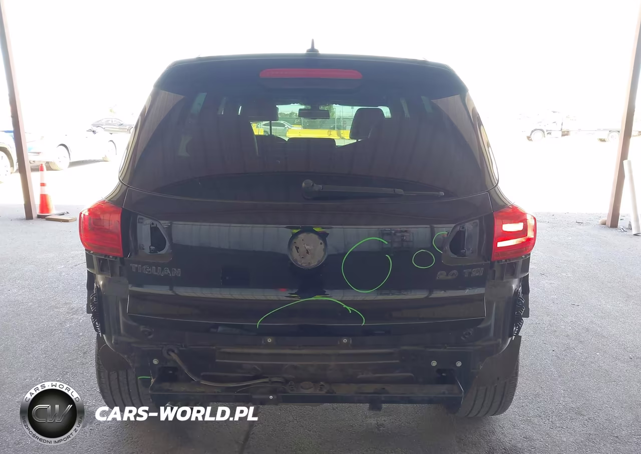 2014 Volkswagen Tiguan R-Line VIN:WVGAV3AX4EW109788 - 17