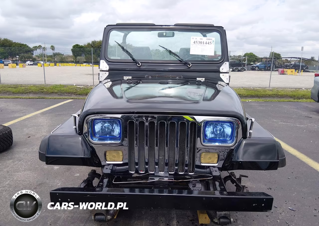 1991 Jeep Wrangler - Yj Renegade VIN:2J4FY69S8MJ122720 - 12
