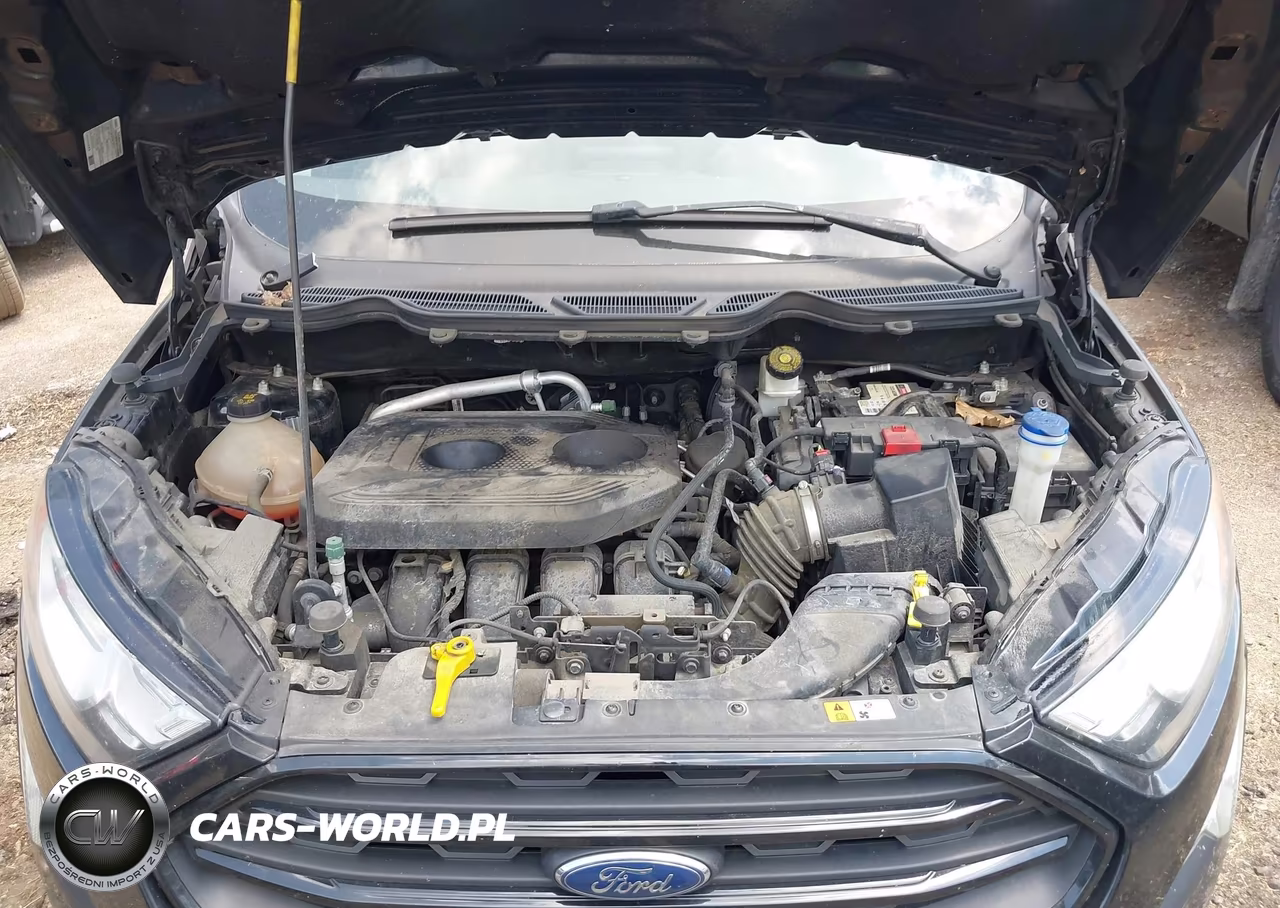 2020 Ford Ecosport S VIN:MAJ6S3FLXLC345892 - 10