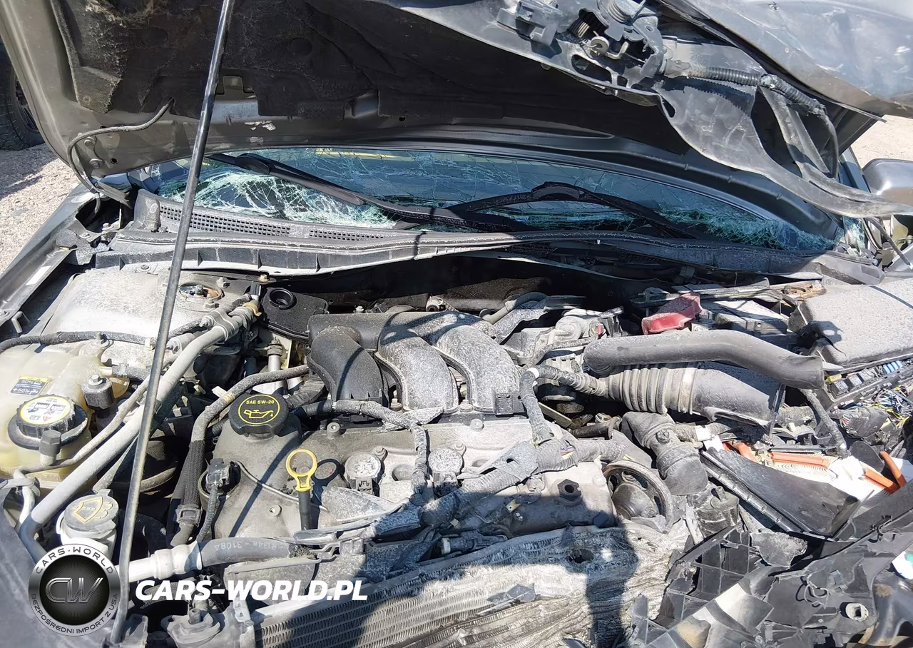 2009 Ford Fusion Sel VIN:3FAHP08189R215060 - 10