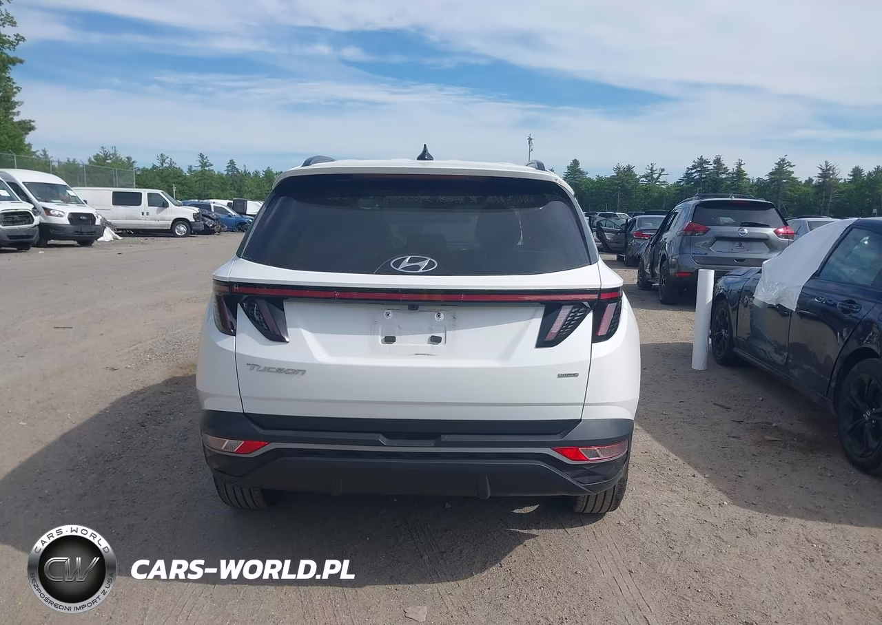 2024 Hyundai Tucson Sel VIN:5NMJFCDE7RH369879 - 17