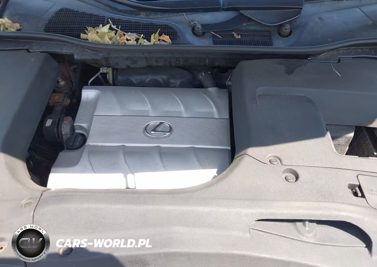 2013 Lexus Rx 350 VIN:2T2BK1BA9DC225006 - 10