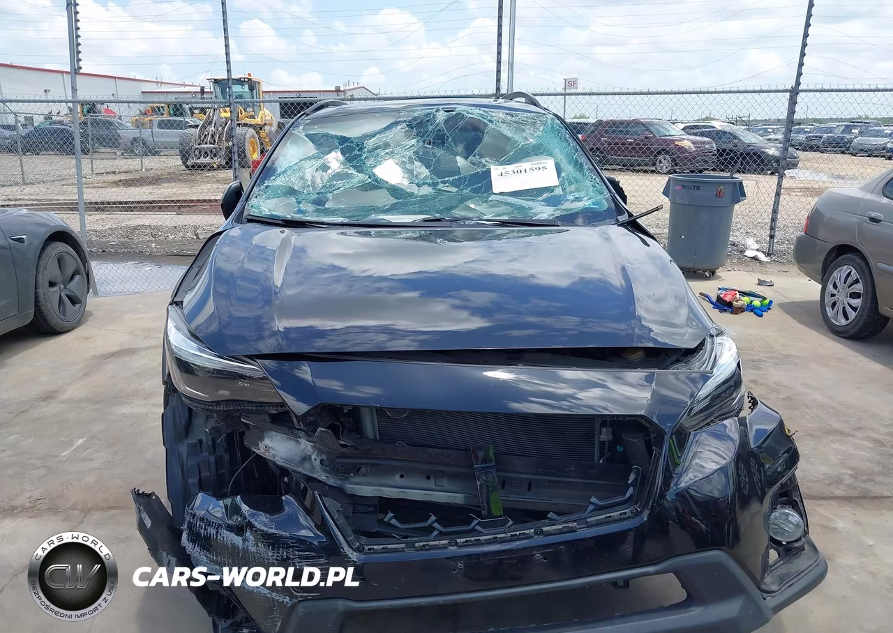 2019 Subaru Crosstrek 2.0I Limited VIN:JF2GTAMC0KH383007 - 12