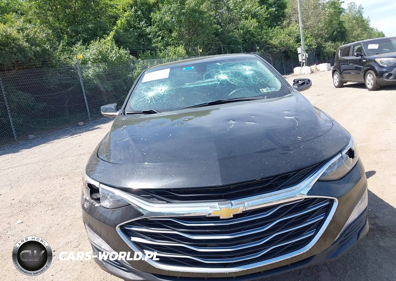 2022 Chevrolet Malibu Fwd Lt VIN:1G1ZD5ST1NF193840 - 13