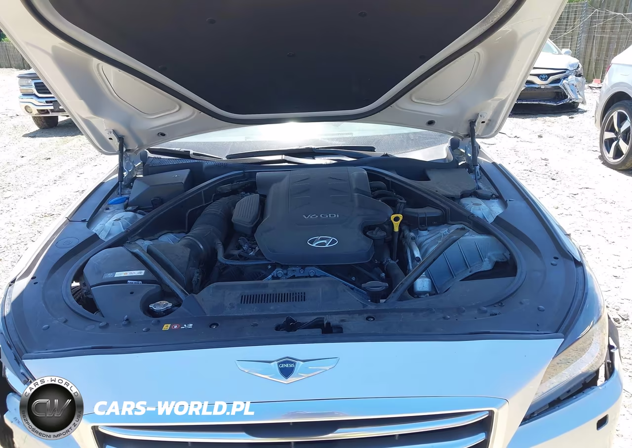 2015 Hyundai Genesis 3.8 VIN:KMHGN4JEXFU082091 - 10