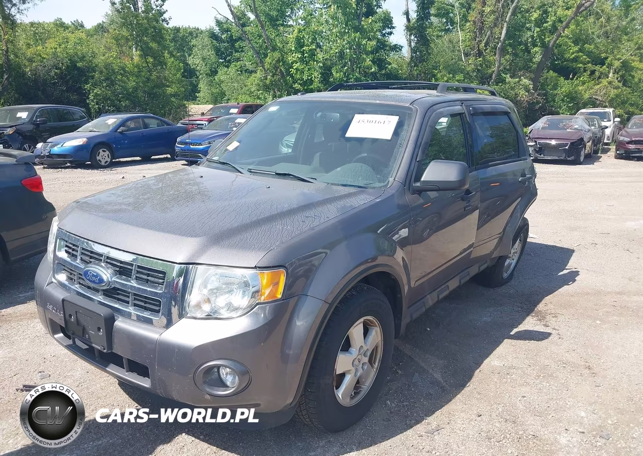2011 Ford Escape Xlt VIN:1FMCU0D76BKB83142 - 2