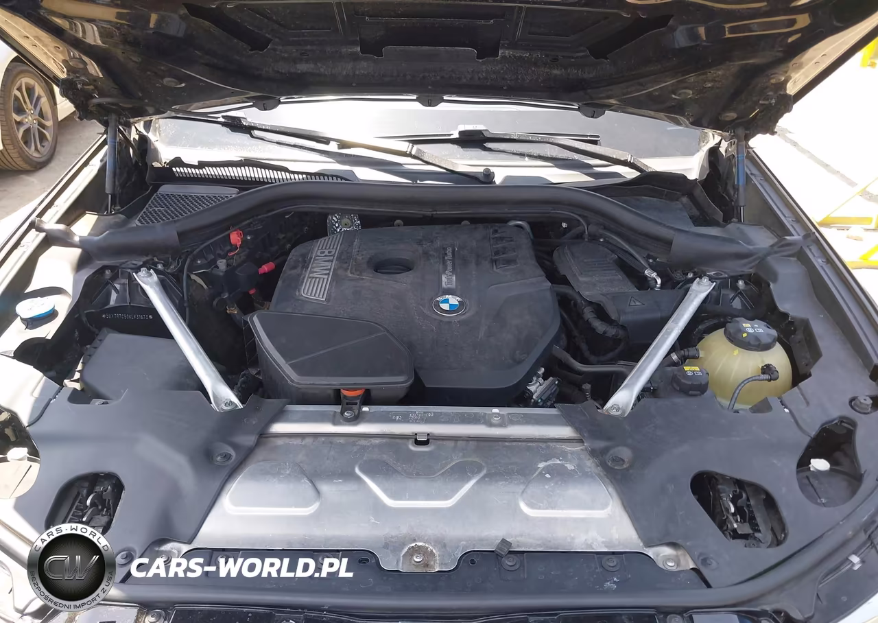 2019 BMW X3 Sdrive30I VIN:5UXTR7C50KLF31673 - 10