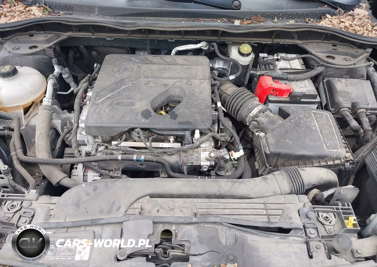 2020 Ford Escape Sel VIN:1FMCU0H60LUB02434 - 10