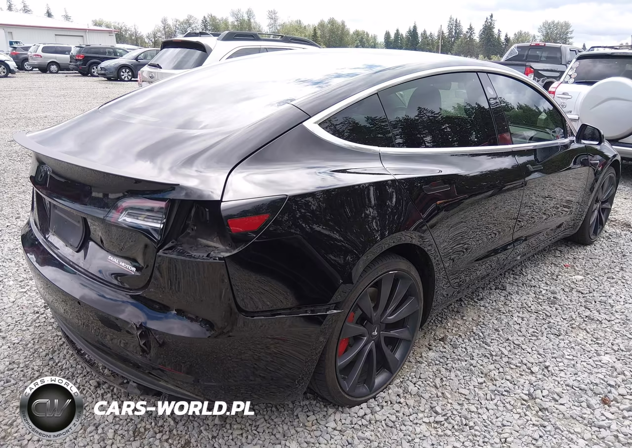 2020 Tesla Model 3 Performance Dual Motor All-Wheel Drive VIN:5YJ3E1EC2LF741943 - 4