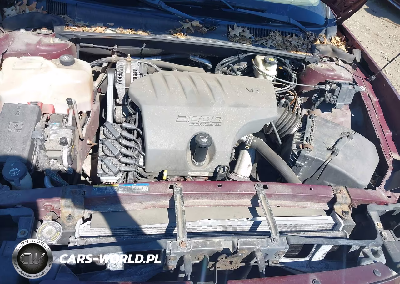 2005 Buick Lesabre Custom VIN:1G4HP52K55U216903 - 10