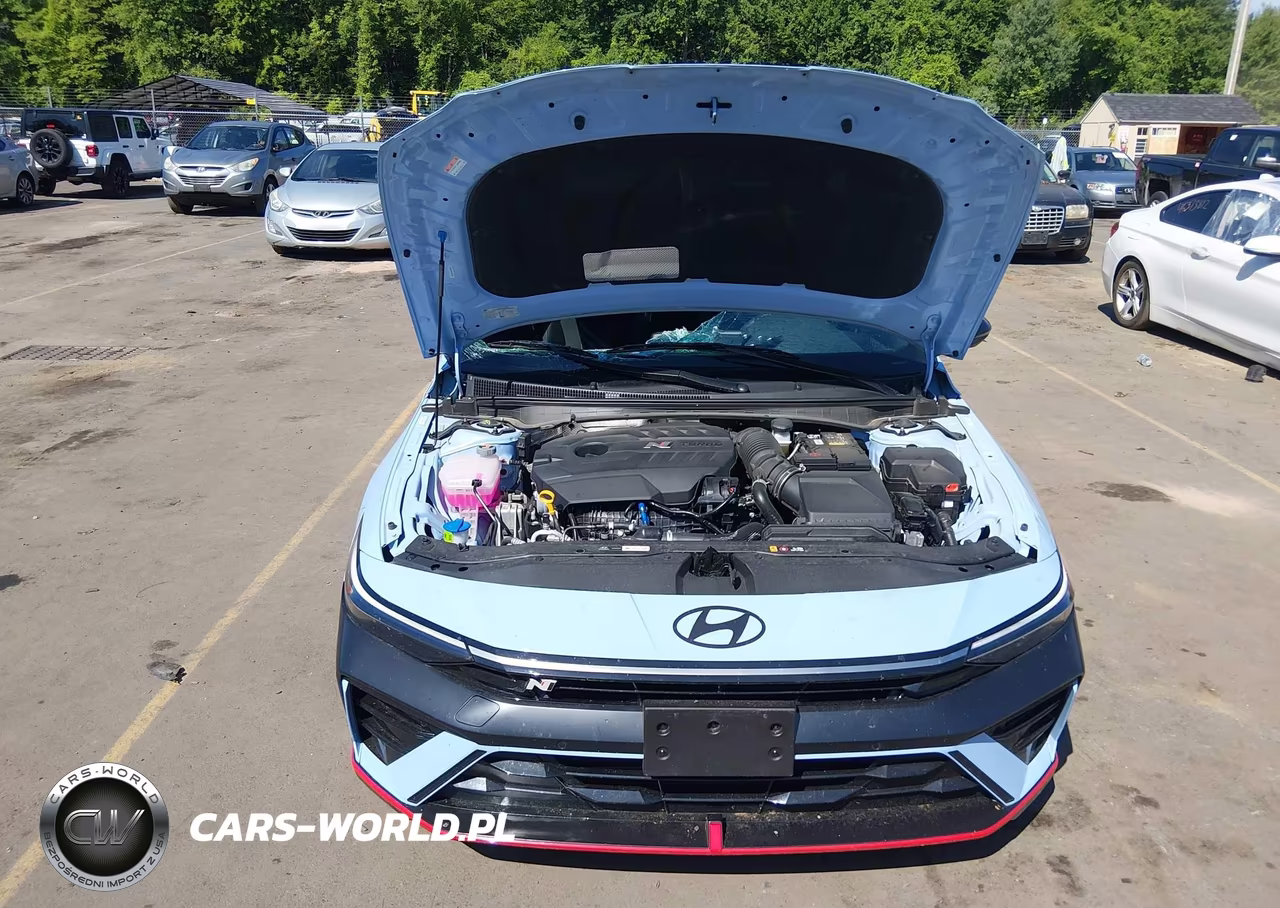 2025 Hyundai Elantra N VIN:KMHLW4DKXSU035439 - 10