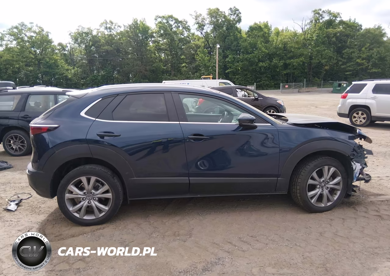 2022 Mazda Cx-30 Select VIN:3MVDMBBL1NM430230 - 12