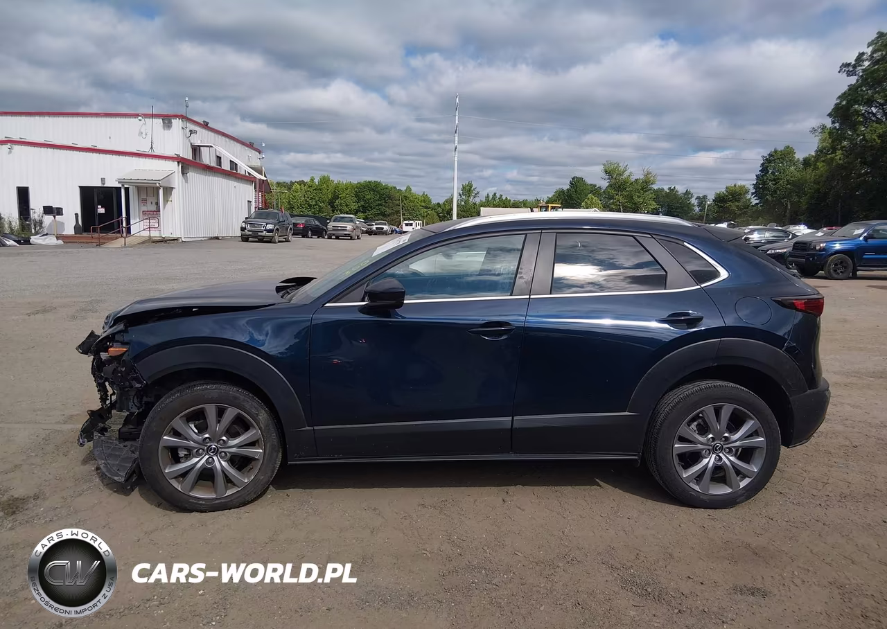2022 Mazda Cx-30 Select VIN:3MVDMBBL1NM430230 - 13