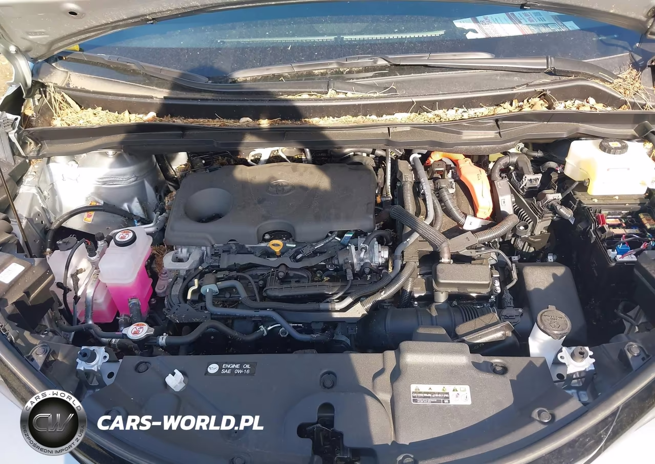 2025 Toyota Sienna Xse VIN:5TDCSKFC5SS197882 - 10