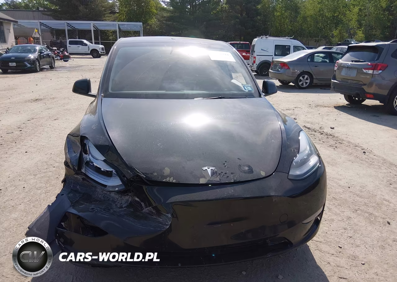 2021 Tesla Model Y Long Range Dual Motor All-Wheel Drive VIN:5YJYGDEE6MF131662 - 11