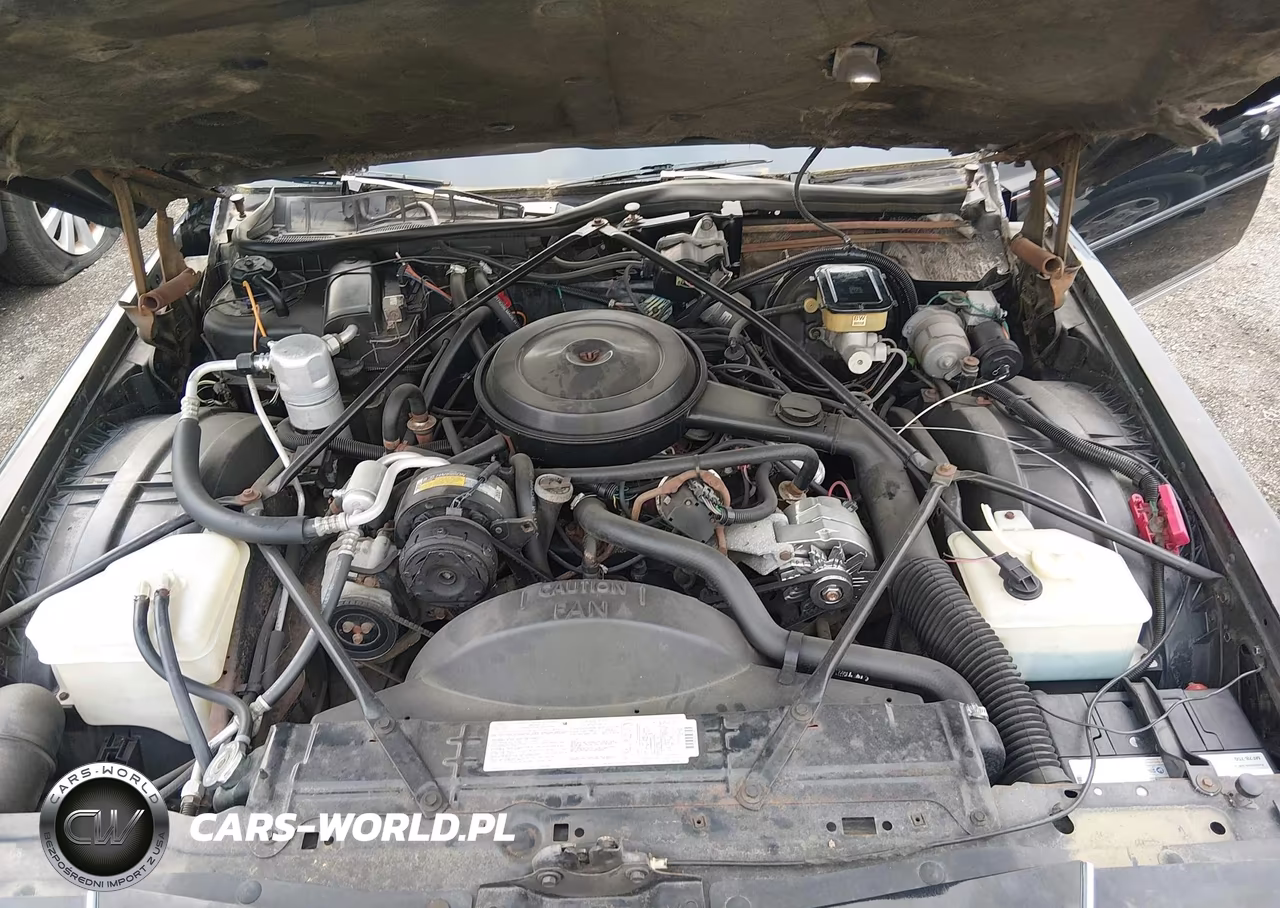 1986 Cadillac Fleetwood Brougham VIN:1G6DW69Y2G9718475 - 10