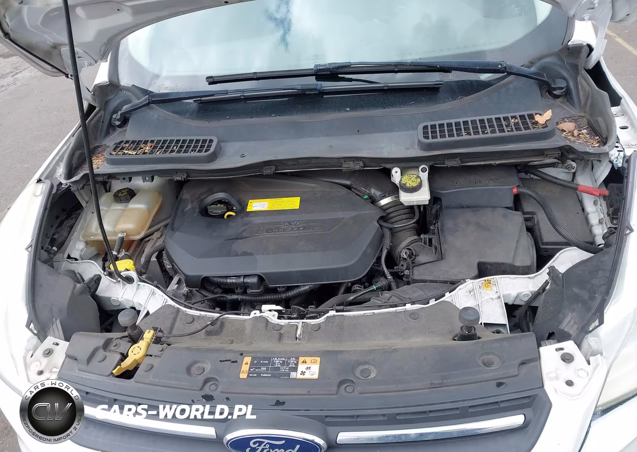 2016 Ford Escape Se VIN:1FMCU9GX6GUC30486 - 10
