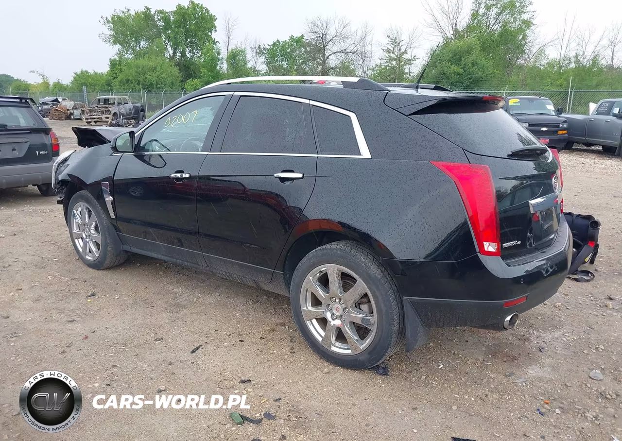 2010 Cadillac Srx Premium Collection VIN:3GYFNFEYXAS624938 - 3