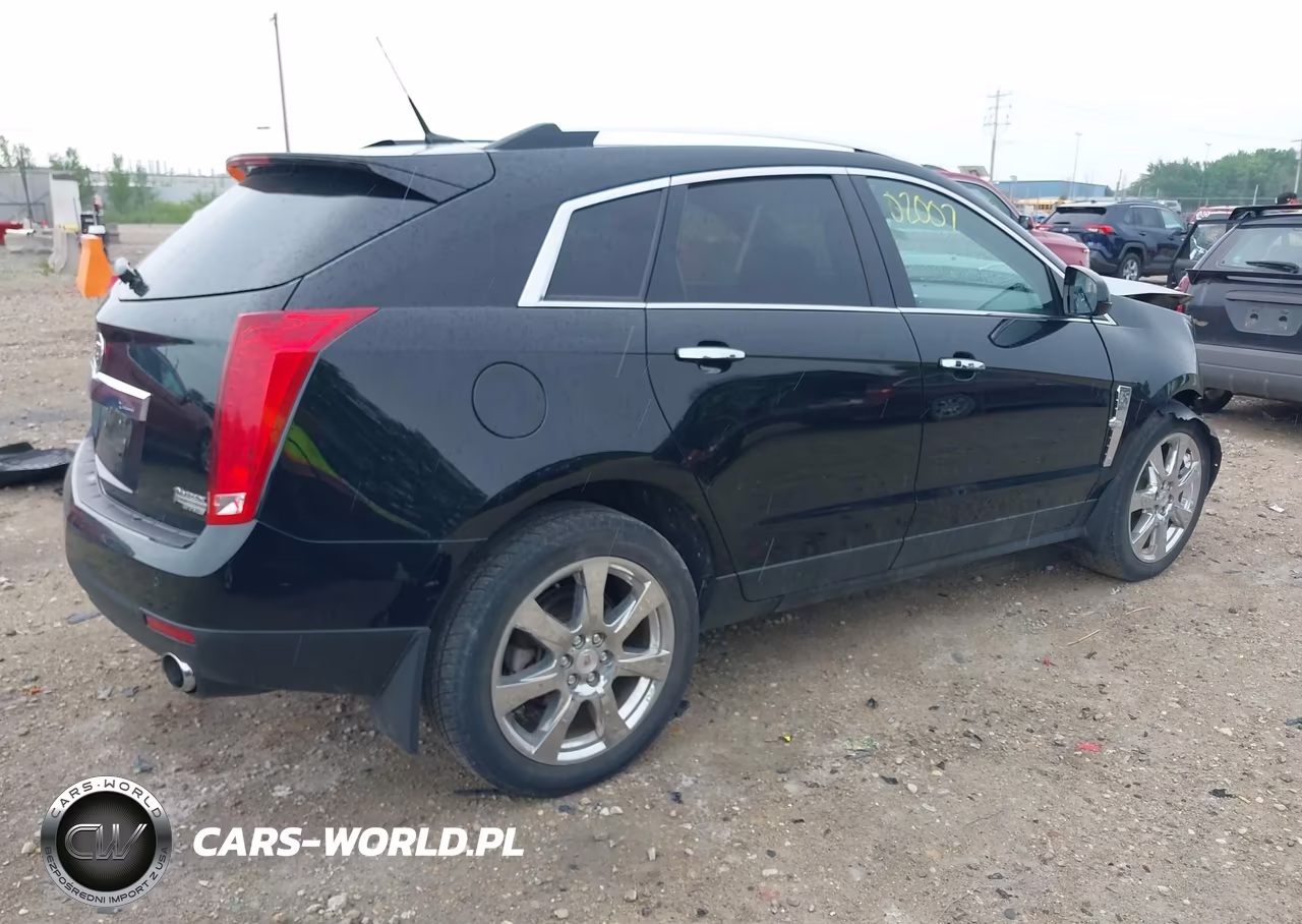 2010 Cadillac Srx Premium Collection VIN:3GYFNFEYXAS624938 - 4