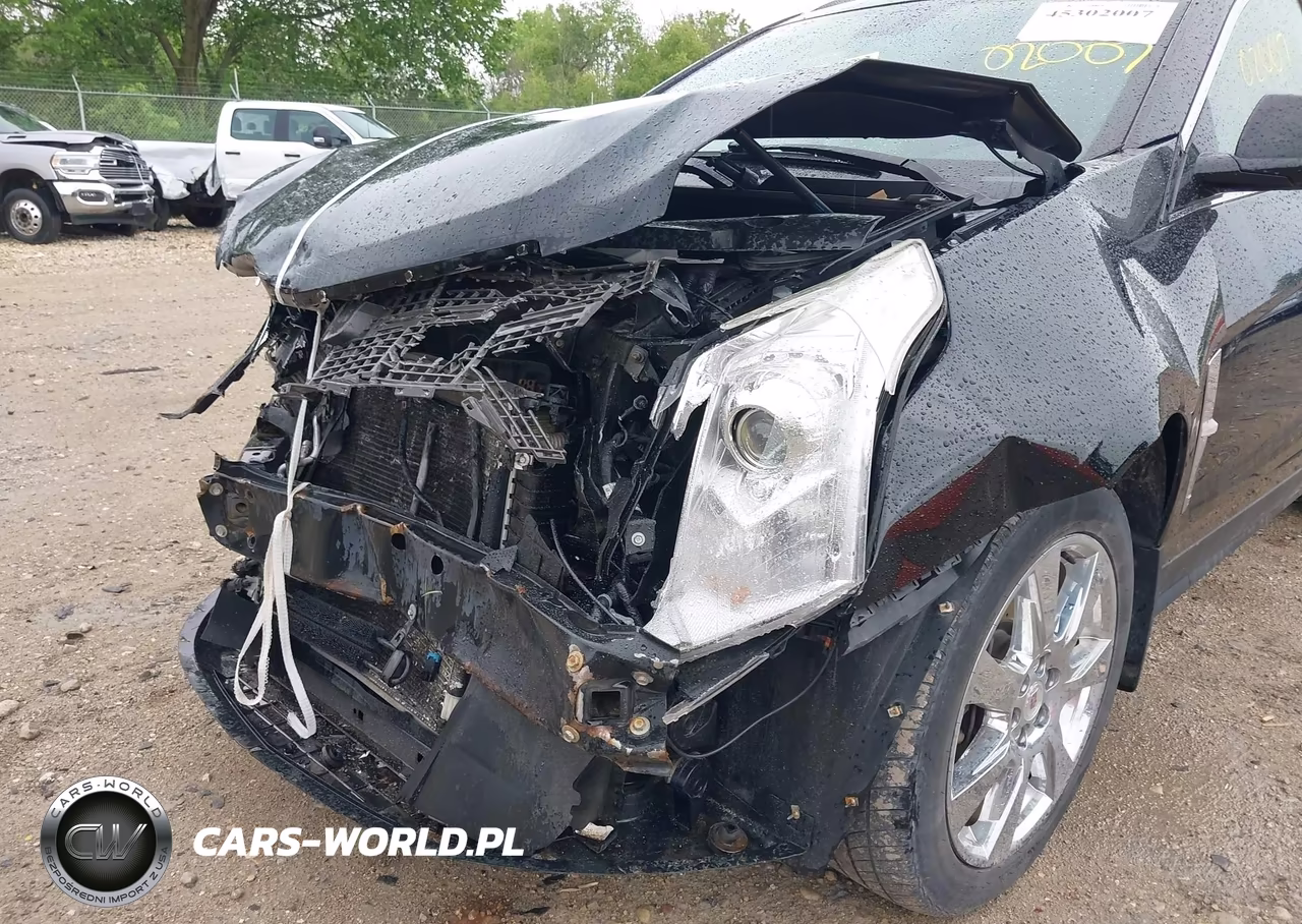 2010 Cadillac Srx Premium Collection VIN:3GYFNFEYXAS624938 - 6