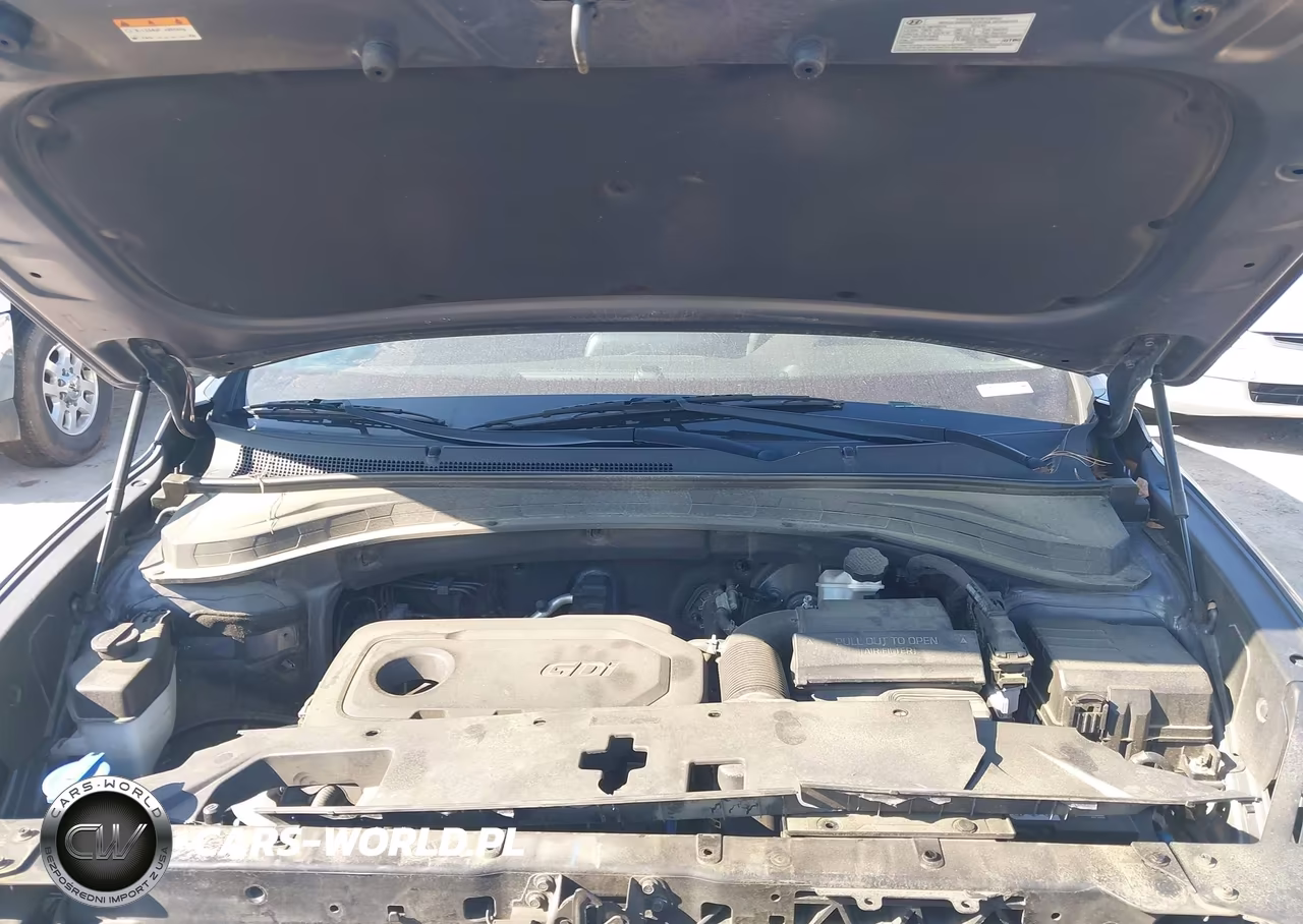 2019 Hyundai Santa Fe Sel VIN:5NMS3CAD6KH062752 - 10