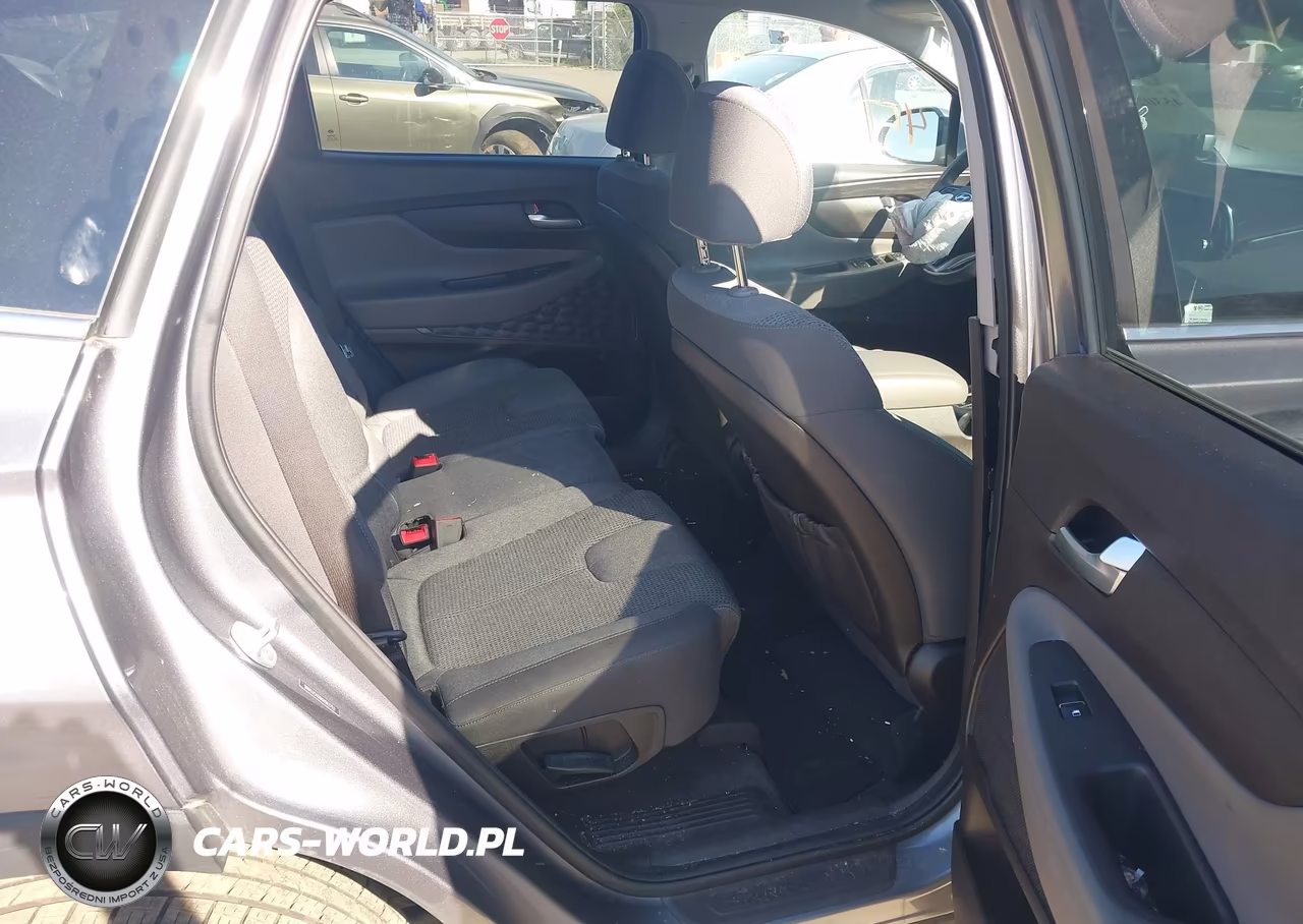 2019 Hyundai Santa Fe Sel VIN:5NMS3CAD6KH062752 - 8
