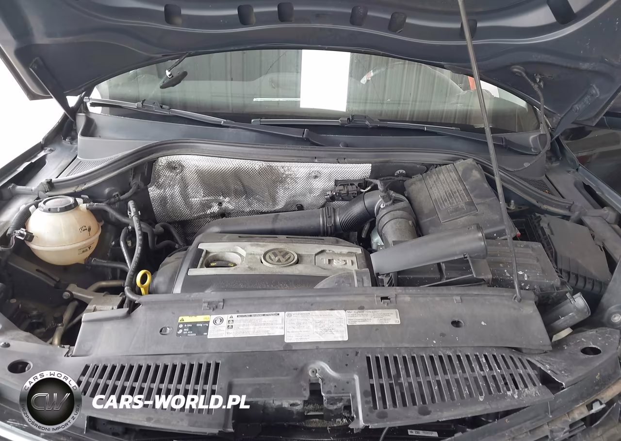 2017 Volkswagen Tiguan 2.0T-2.0T S VIN:WVGAV7AX1HK043252 - 10