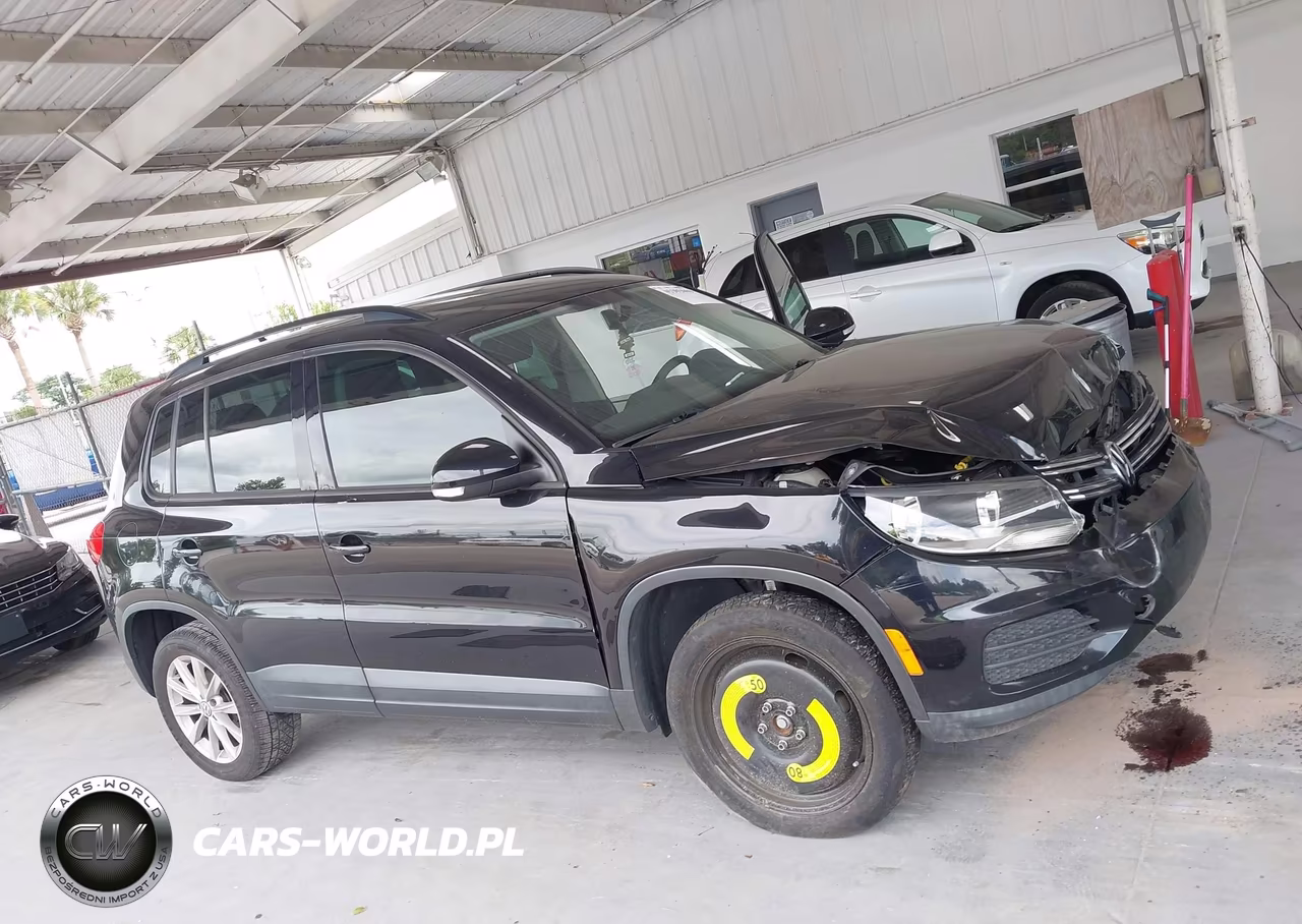 2017 Volkswagen Tiguan 2.0T-2.0T S VIN:WVGAV7AX1HK043252 - 13