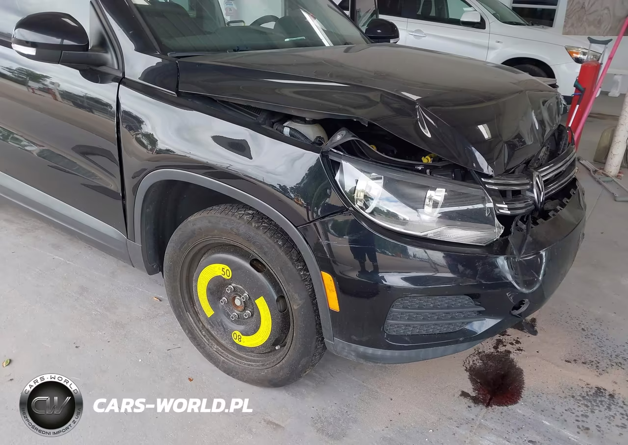 2017 Volkswagen Tiguan 2.0T-2.0T S VIN:WVGAV7AX1HK043252 - 6