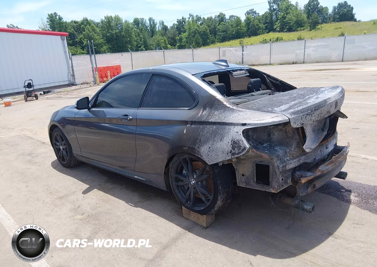 2017 BMW M240I VIN:WBA2G1C55HV638774 - 3