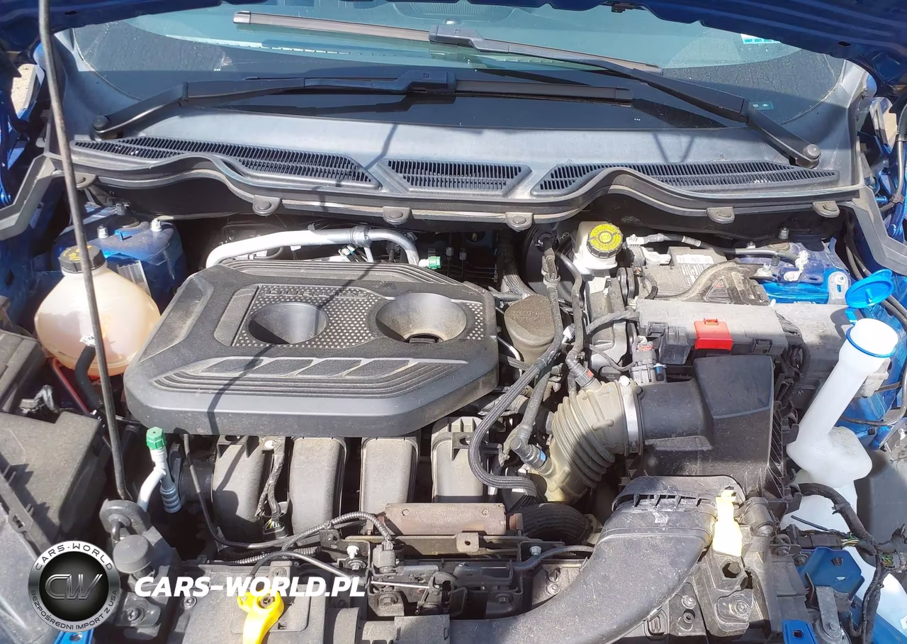 2019 Ford Ecosport Se VIN:MAJ6S3GL1KC296823 - 10