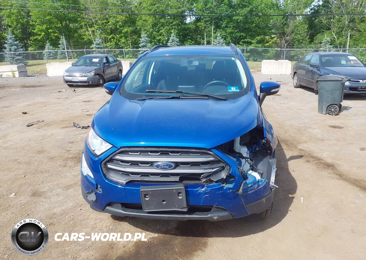 2019 Ford Ecosport Se VIN:MAJ6S3GL1KC296823 - 12