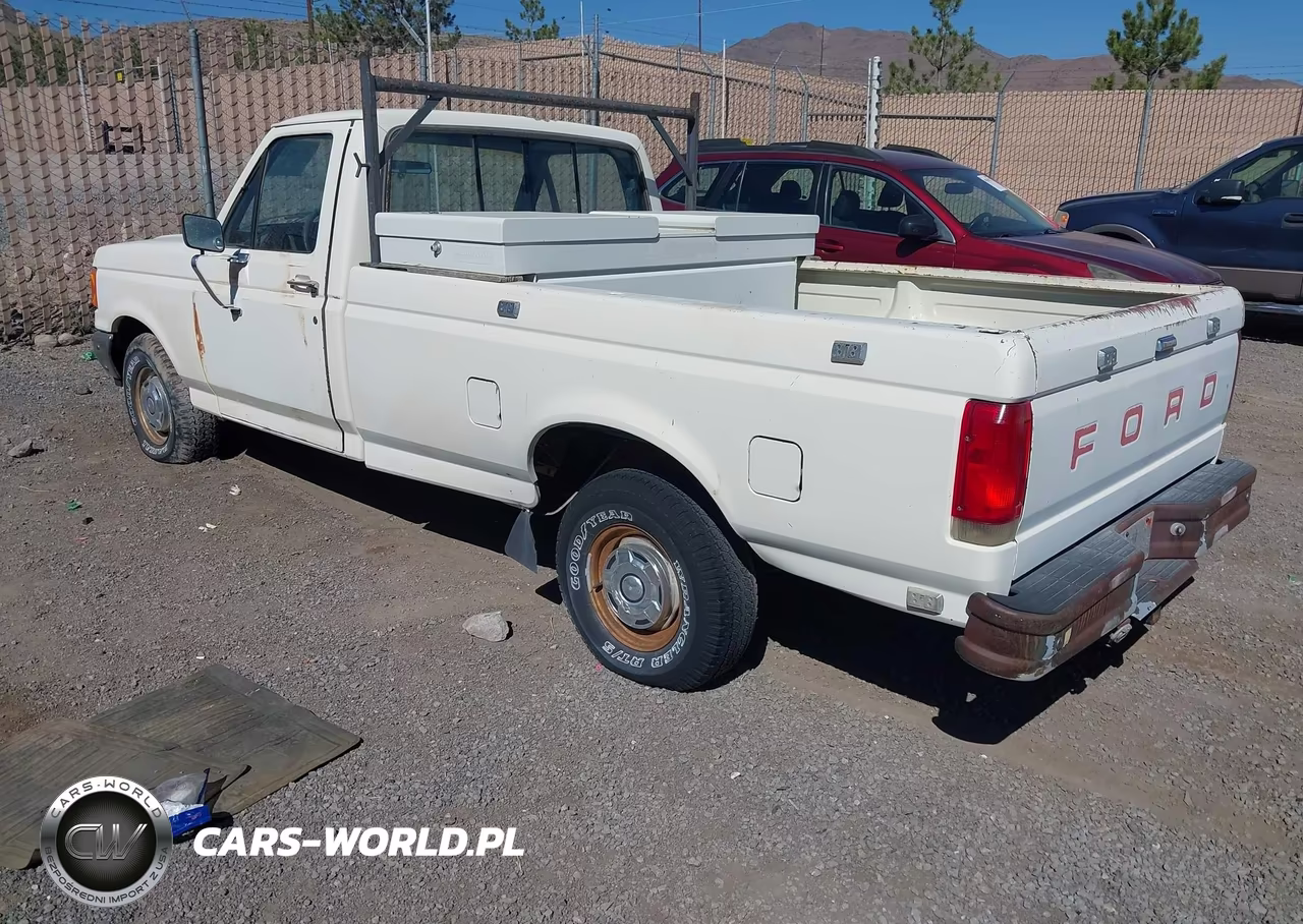 1987 Ford F150 VIN:1FTEF15N4HPB36813 - 3