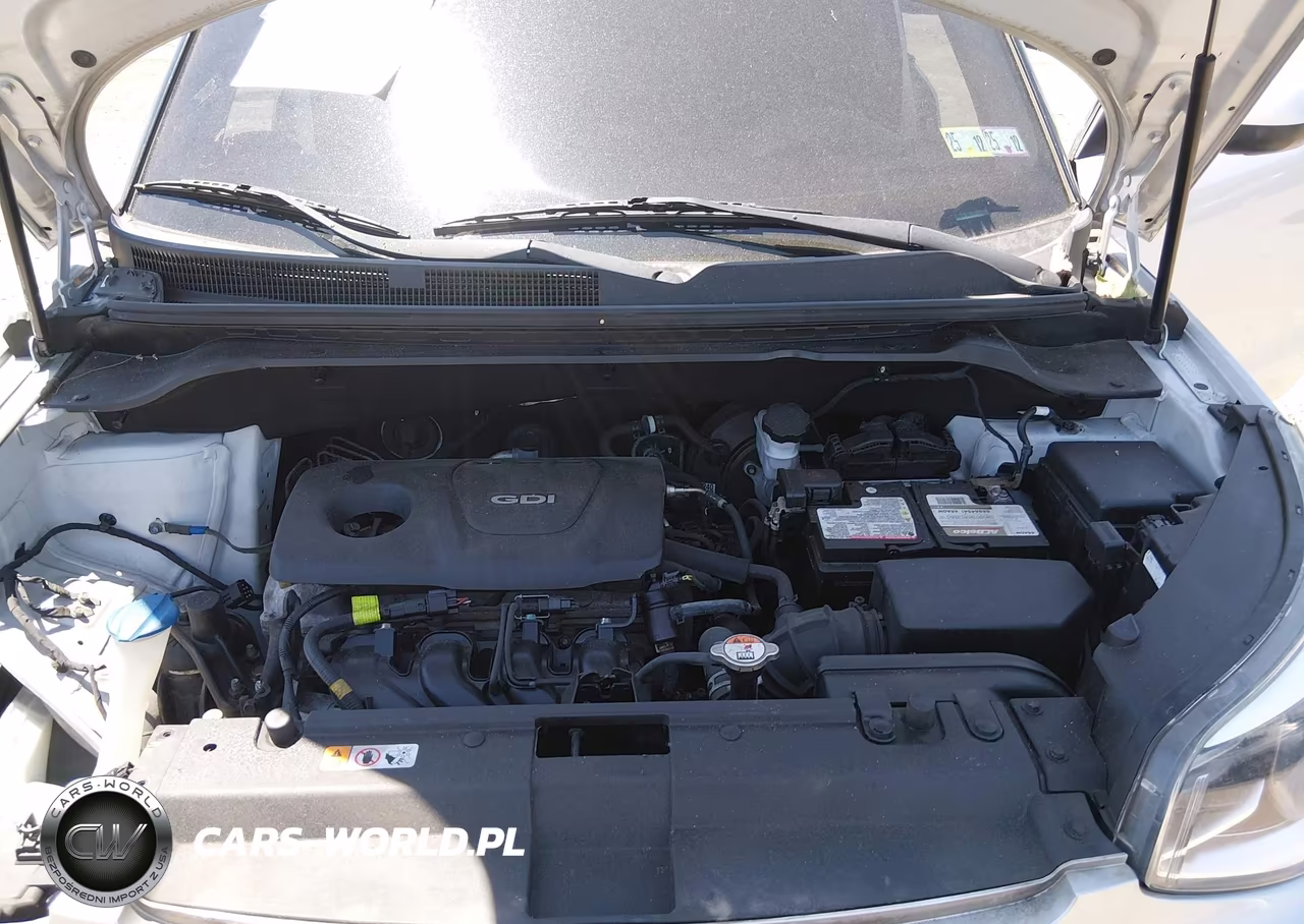 2017 Kia Soul VIN:KNDJN2A26H7412282 - 10