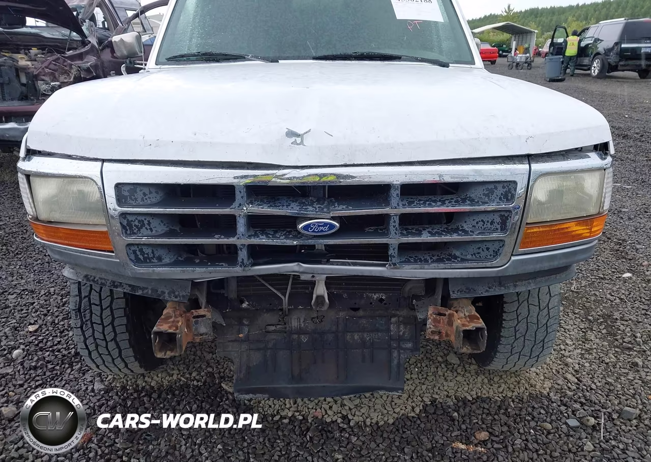 1995 Ford F150 VIN:1FTEX14HXSKA07049 - 12