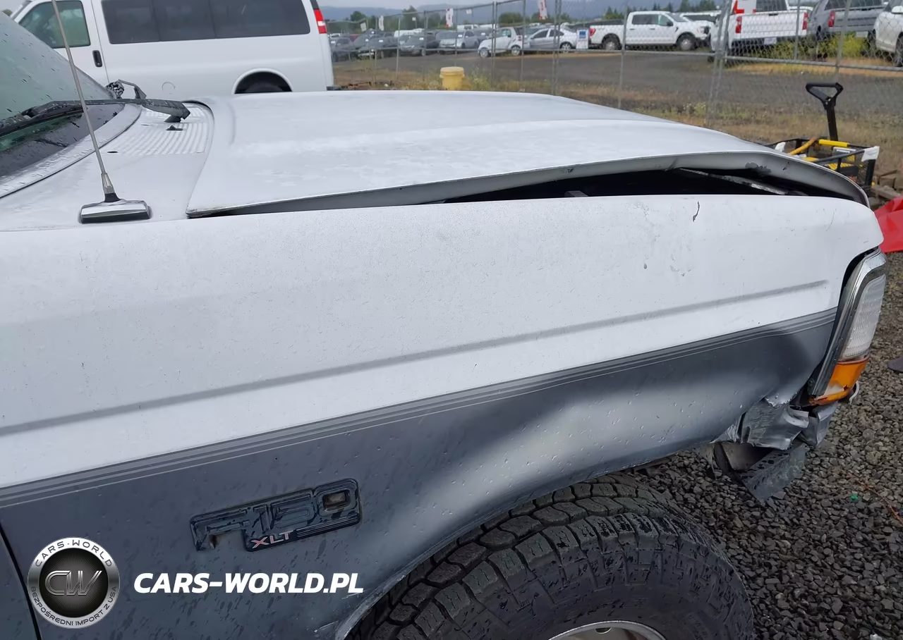 1995 Ford F150 VIN:1FTEX14HXSKA07049 - 14