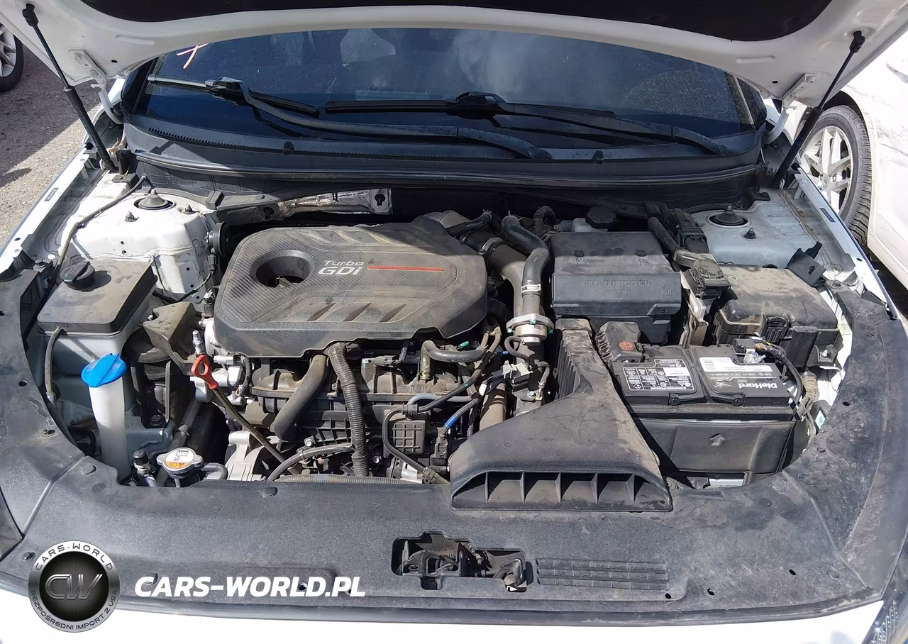 2019 Hyundai Sonata Limited 2.0T VIN:5NPE34AB9KH759627 - 10
