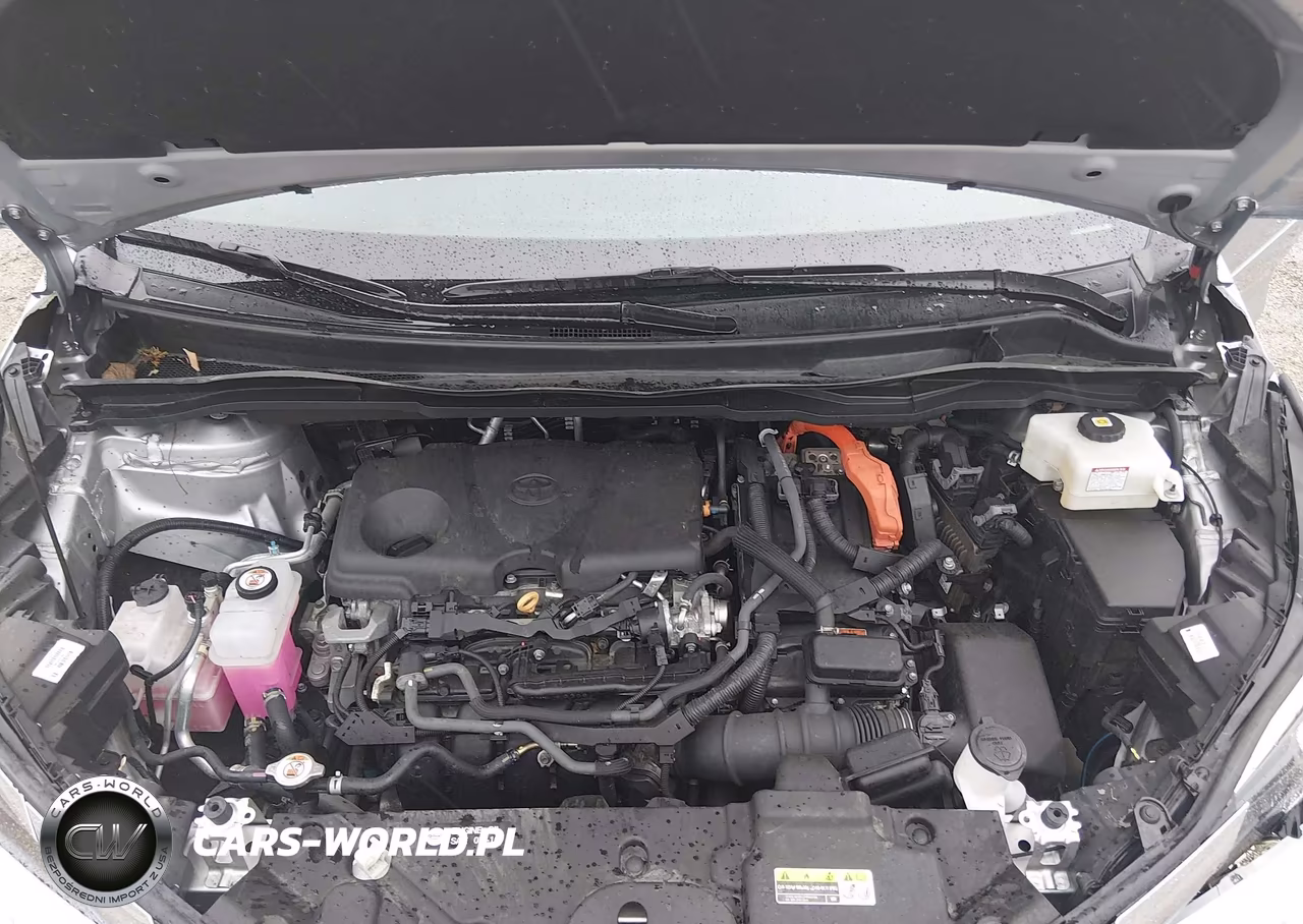 2024 Toyota Sienna Xle VIN:5TDYSKFCXRS121557 - 10