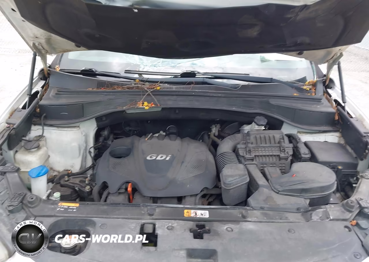 2014 Hyundai Santa Fe Sport 2.4L VIN:5XYZU3LB5EG215207 - 10
